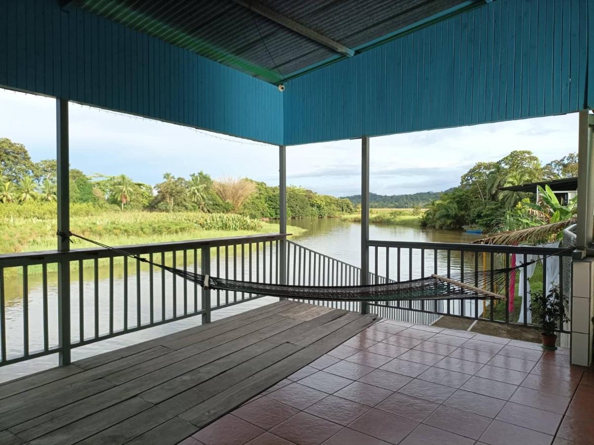 Hotel Gaviotas De Osa Sierpe المظهر الخارجي الصورة