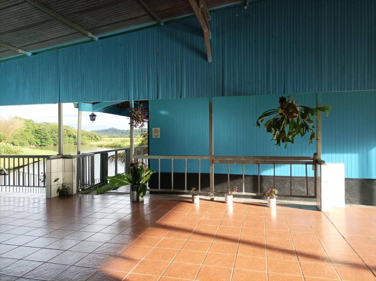 Hotel Gaviotas De Osa Sierpe المظهر الخارجي الصورة