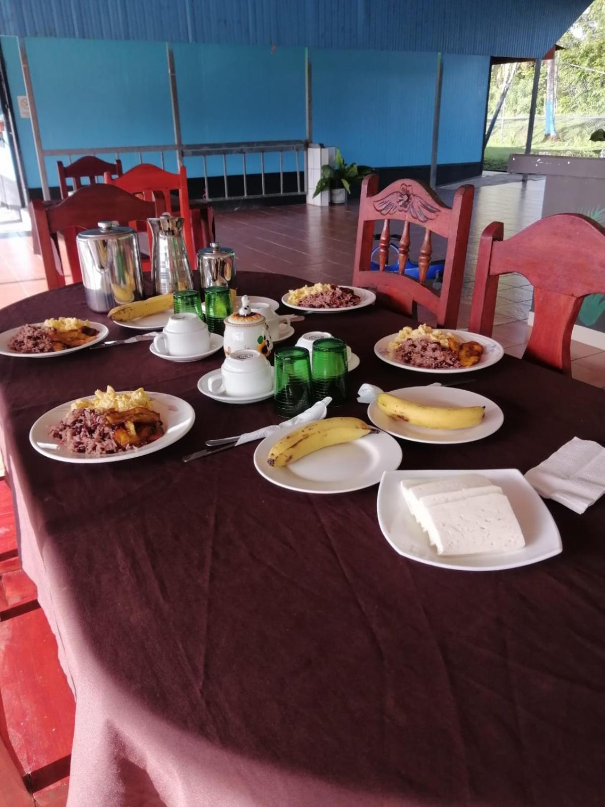 Hotel Gaviotas De Osa Sierpe المظهر الخارجي الصورة